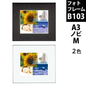 EH[CcKiytHgt[ B103 S13TCY 2F:ubN/Vo[z  ʐ^ z ʐ^ p z t[   ɁI j oYj v[g ɁI zO:22.9cm×1