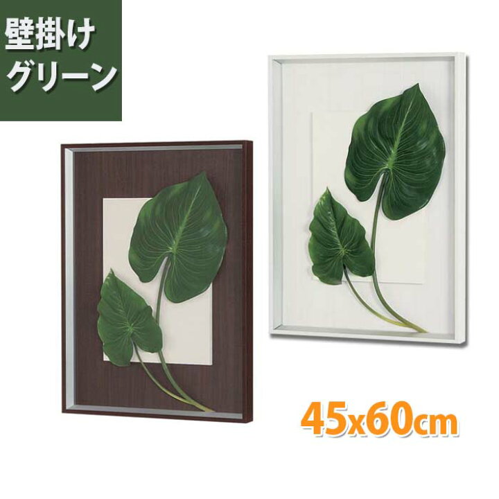 楽天市場 壁掛け 造花グリーン タロリーフ 奥行4cm 45x60cm インテリア 額縁 葉っぱ 壁掛け フェイクグリーン リーフパネル 観葉植物 人工 壁 ウォールグリーン ウォールアート グリーン グリーンパネル フェイク インテリアグリーン 壁面緑化 オフィス リビング 玄関 楽天市場 壁掛け 造花グリーン タロリーフ 奥行4cm 45x60cm インテリア 額縁 葉っぱ 壁掛け フェイクグリーン リーフパネル 観葉植物 人工 壁 ウォールグリーン ウォールアート グリーン グリーンパネル フェイク インテリアグリーン 壁面緑化 オフィス リビング 玄関