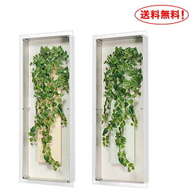 楽天市場 玄関 観葉植物 花 観葉植物 花 ガーデン Diyの通販