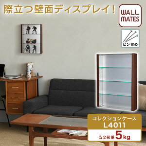 EH[CcKiy_P[X TCY:45cm×30cm(L4010)/45×60cm(L4011)zOK Ǌ| RNVP[XI tBMA ~jJ[  ΍p{[h    ڗȂ s   fBXv