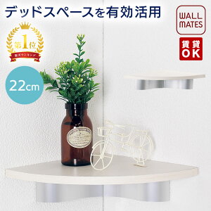 EH[CcKiyR[i[VFt E JhA[VFt 22cm 3F:AC{[/i`/ZsAzOK ΍p{[h   s  t S׏d:5kg { gC  ʏ 