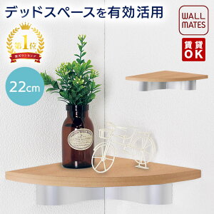 EH[CcKiyR[i[VFt E JhA[VFt 22cm 3F:AC{[/i`/ZsAzOK ΍p{[h   s  t S׏d:5kg { gC  ʏ 