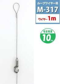 楽天市場 天井 吊り下げ フックの通販