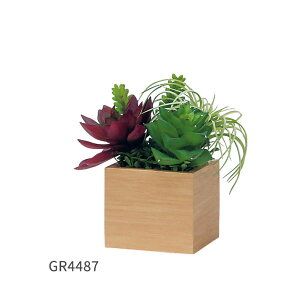 �O���[�����[�h���K�i�y��� �t�F�C�N�O���[�� �|�b�g �T�C�Y:9.3×9.3cm �O���[�� ����:20�`45cm 2�F:�x�[�W��/�u���E���z�C���e���A�O���[�� ���� �g�C�� �� �C���e���A �ɁA������� �� �͂��