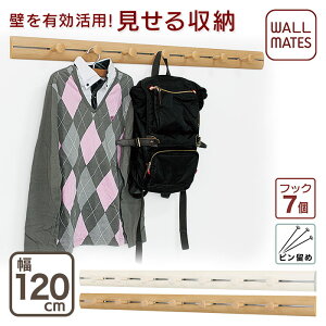 壁フック 玄関収納 通販 価格比較 価格 Com