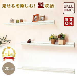 EH[CcKiy[WVFt :40cm/80cm/120cm 2F:AC{[/i`z΍p{[hǂ es ňS׏d5`7kg    rO    ؖڒ EH[VF