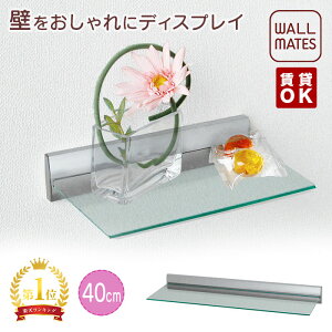 EH[CcKiyXVFt :20cm/40cm 4F:Vo[/zCg/i`/ZsAzOK ΍p{[h   s  t S׏d:1`1.5kg { gC ʏ Lb`  