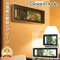 楽天市場】ウォールグリーン（素材（インテリア）アクリル）の通販