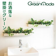 グリーンモード正規品【壁掛け観葉植物(ウォールポット) サイズ:60×6cm/90×6cm 2色(木目調):アイボリー…