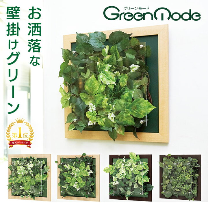 楽天市場】グリーンモード正規品【壁掛け観葉植物(ウォール フェイク 