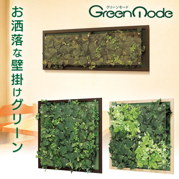 楽天市場】壁掛け ウォールグリーン ☆65X65cm|ウォールグリーン 