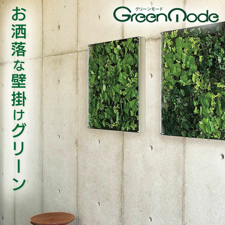 楽天市場】グリーンモード 正規品 観葉植物 インテリアデコ GR3567 