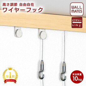 ウォールメイツ正規品【レール10専用 オプション レール10フック(M-314 1個入 安全荷重:10kg)/レール10ワイヤーフック(M-315 1個入 長さ1m 安全荷重:10kg)/長ボール式ワイヤーフック(M-3026 1個入 長さ1m 安全荷重:10kg)】ピクチャーレール 用 壁 取り付け 吊り金具 日本製