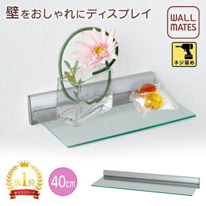 EH[CcKiyXVFt :20/40cm 4F:Vo[/zCg/i`/ZsAzlW  t S׏d:1`1.5kg { Lb`  EH[VFt   ɁI EH