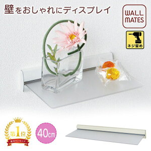 EH[CcKiyXVFt :20/40cm 4F:Vo[/zCg/i`/ZsAzlW  t S׏d:1`1.5kg { Lb`  EH[VFt   ɁI EH