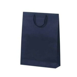【暮らしラクラク応援セール】カラークラフト手提袋 T-8 ネイビー 1033 10枚【取り寄せ・返品不可商品】