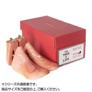 y炵NNZ[zBRIGA(uK) V[gD[0031AC-BOOT@My񂹁Eԕisiz