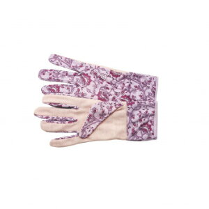 y炵NNZ[z}`V[gO[u GXm[t 4009551-03y񂹁Eԕisiz