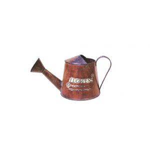 y炵NNZ[zWE 82023y񂹁Eԕisiz