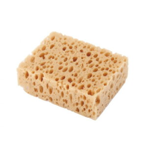 y炵NNZ[zCollonil(Rj) X|Wy񂹁Eԕisiz