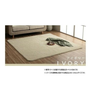 �y��炵���N���N�����Z�[���z�ӂ�ӂ탉�O �J�[�y�b�g �A�C�{���[ ��200×250cm 1280600141303�y���񂹁E�ԕi�s���i�z