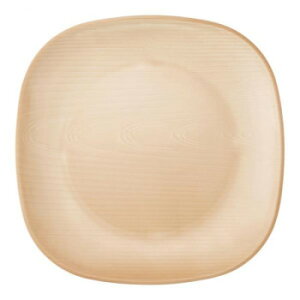 y炵NNZ[za@EH[i@XNGAv[g@25cm@i`@RSP5501y񂹁Eԕisiz