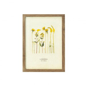 y炵NNZ[zhi tHgt[ ʐ^ DF53-2L-BRy񂹁Eԕisiz