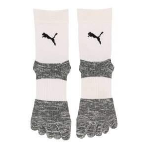 yz (PUMA)@v[} PMJ-658035-04 PUMA Obv\bNX (04)Puma White YEjZbNX