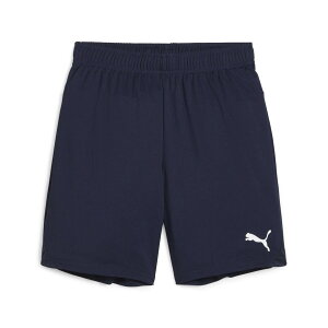 yz (PUMA)@v[} PMJ-706376-06 teamGOAL Q[V[c Jr (06)PUMA Navy-PUMA White YEjZbNX
