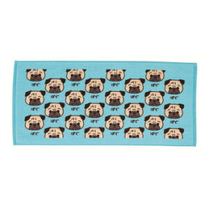 y炵NNZ[z^I IT76SF-10 [hV[Ovg ςy񂹁Eԕisiz