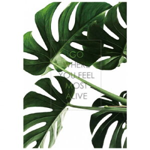 y炵NNZ[zKXfUC{[hM@Xe@164005y񂹁Eԕisiz