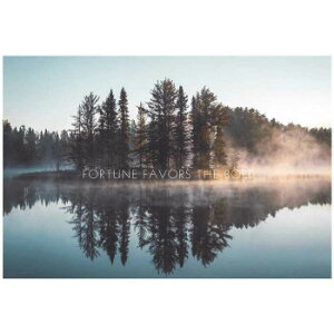 y炵NNZ[zKXfUC{[hL@CN@164050y񂹁Eԕisiz