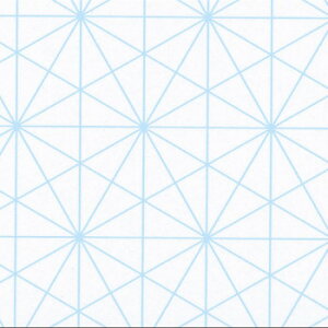 y炵NNZ[zA[ebN \bhh[V[g B4 10 013008y񂹁Eԕisiz