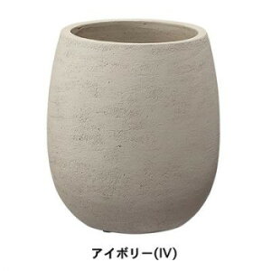 y炵NNZ[zO[|bg Aؔ JCg o[ AC{[ 24cm EB-KB2428IVy񂹁Eԕisiz