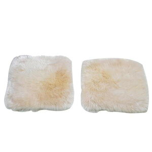 �y��炵���N���N�����Z�[���z���[�g���V�[�g�N�b�V���� 40x40cm 2���g �A�C�{���[ LWR540IV2P�y���񂹁E�ԕi�s���i�z