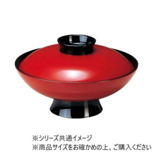 y炵NNZ[zNtg@5.5Ǝϕo(We)co 12025530y񂹁Eԕisiz