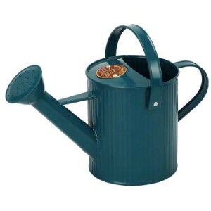 y炵NNZ[zpeBI V[WE BG 169093y񂹁Eԕisiz