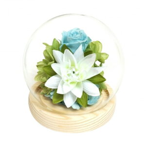 y炵NNZ[zp()@lGXtBA@vU[uht[@ā@nX@C38202y񂹁Eԕisiz