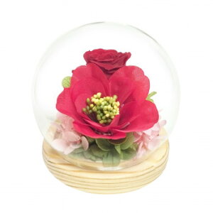 y炵NNZ[zp()@lGXtBA@vU[uht[@~@coL@C38204y񂹁Eԕisiz