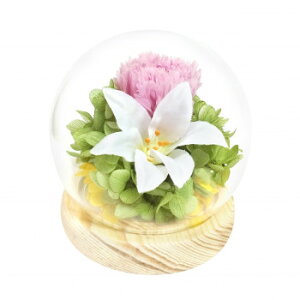 y炵NNZ[zp()@lGXtBA@vU[uht[@@@C38306y񂹁Eԕisiz