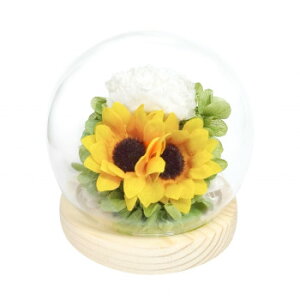 y炵NNZ[zp()@lGXtBA@vU[uht[@t@q}@C38308y񂹁Eԕisiz