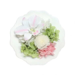 y炵NNZ[zp()@AWg@vU[uht[@()@sN@C33320y񂹁Eԕisiz