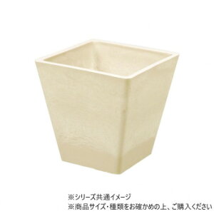 y炵NNZ[zSKXNGA|bg pE_[x[W 15.5×H15.5@3d00020PBEy񂹁Eԕisiz