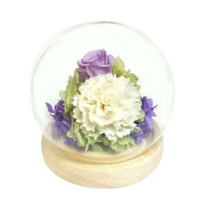 y炵NNZ[zp()@XtBAh[AW@vU[uht[@G()@p[v@C37106y񂹁Eԕisiz