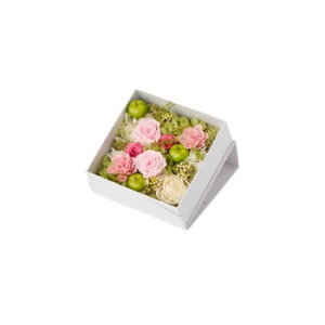 y炵NNZ[zt[AW | ~fB F-6189y񂹁Eԕisiz