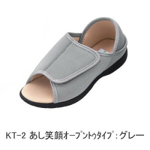 y炵NNZ[z_ːN@RxX@Ί/[V[Y(I[v^Cv)L KT-2 O[y񂹁Eԕisiz