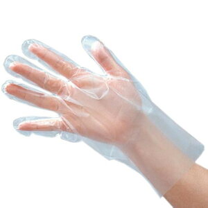 y炵NNZ[z| sCv ~j 100 |G` 082001y񂹁Eԕisiz