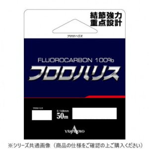 y炵NNZ[z}geOX tnX 50m 1.2y񂹁Eԕisiz