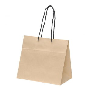 y炵NNZ[z܁@BS 10 XZK00926y񂹁Eԕisiz