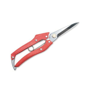 y炵NNZ[zjVKLH v200 200(ԕ) N-205Ry񂹁Eԕisiz